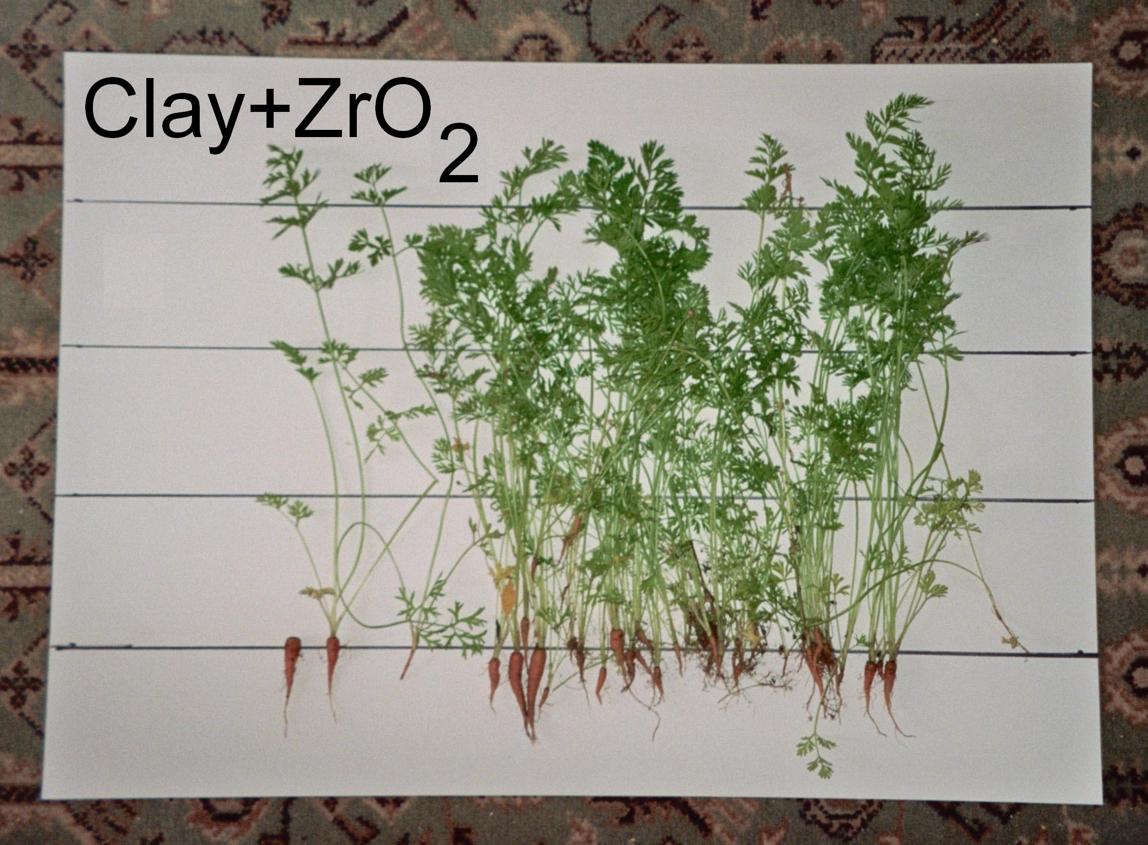 Zirconium increase growth 3.5x